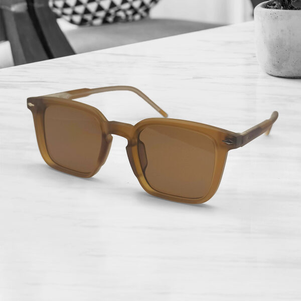 High Quality Unique Design Brown colour Mens Sunglasses