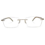 Latest Arrival Titanium Premium Rimless Frames