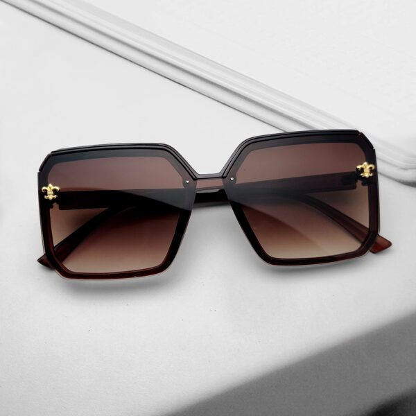 Brown Colour Sunglasses Frame For Women