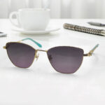 Cat Eye Fashionable Women's Sunglasses