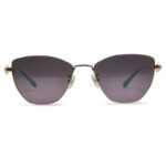 Cat Eye Fashionable Women's Sunglasses