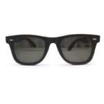 Premium Quality Wayfarer Sunglasses