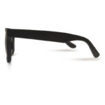 Premium Quality Wayfarer Sunglasses