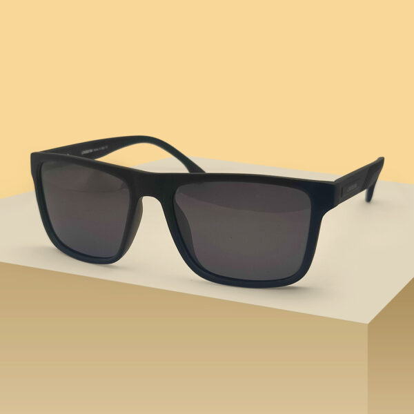 Dukpion New arrival Premium Sunglasses