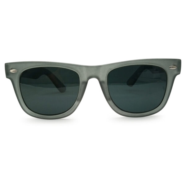 New Transparent Wayfarer Shape Sunglasses