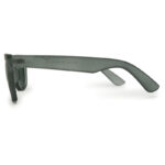 New Transparent Wayfarer Shape Sunglasses