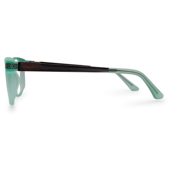 Dukpion New Arrived Eyeglass