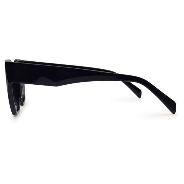 Black Color Cat Eye Woman Sunglasses