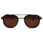Brown Color and Fashionable Sunglasses
