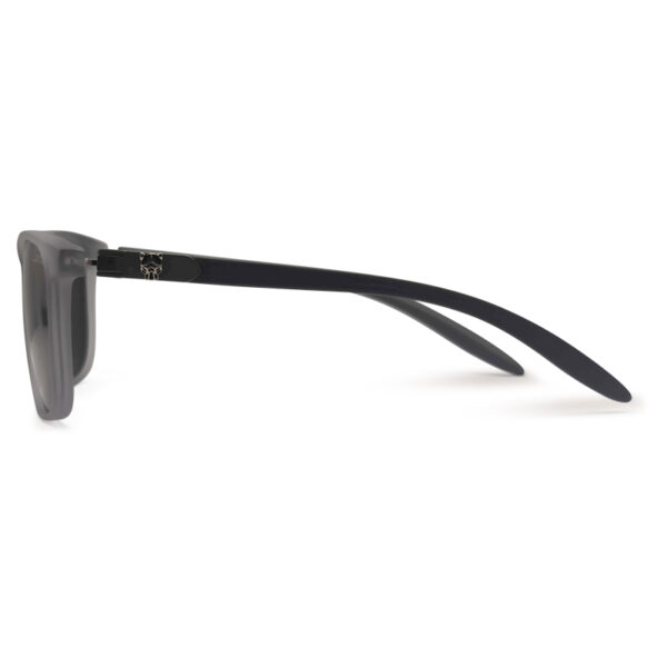 New Arrived Transparent Color Premium Sunglasses