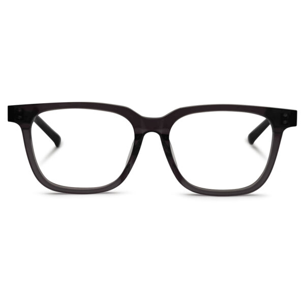 New Fashionable Grey Transparent Color Eyeglasses