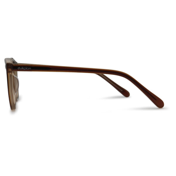 Brawn Transparent Color Eyeglass