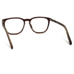 Brawn Transparent Color Eyeglass