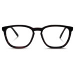 Brown Transparent Color Eyeglasses
