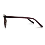 Brown Transparent Color Eyeglasses
