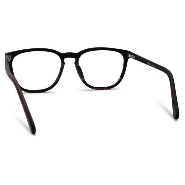 Brown Transparent Color Eyeglasses