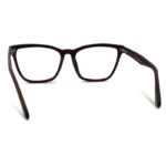 Brown Transparent Color Woman Eyeglass