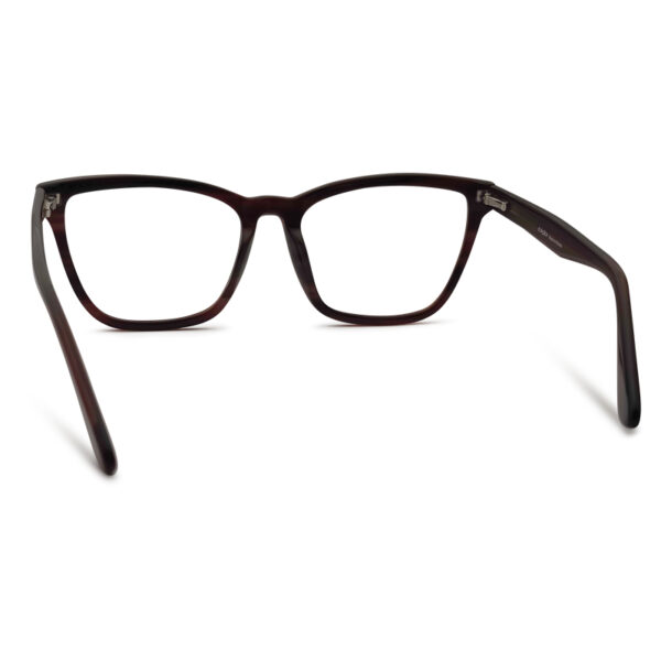 Brown Transparent Color Woman Eyeglass