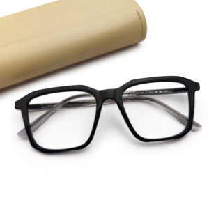 Black Transparent Eyeglasses