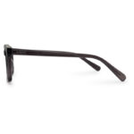Brawn Transparent Color Eyeglasses