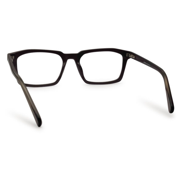 Brawn Transparent Color Eyeglasses