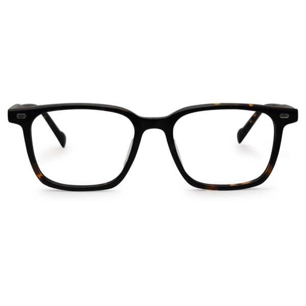 Premium Quality Tiger Print Eyeglass