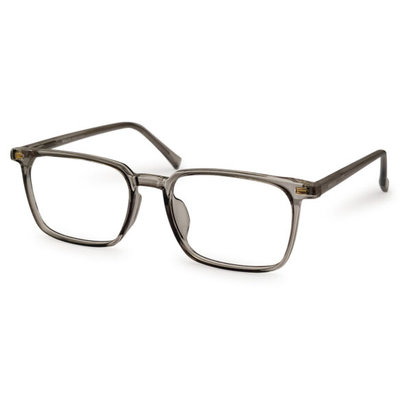 Grey Transparent Eyeglasses