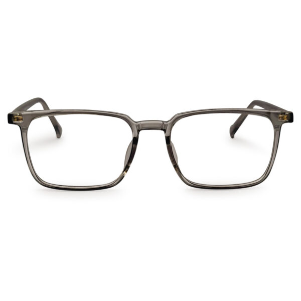 Grey Transparent Eyeglasses