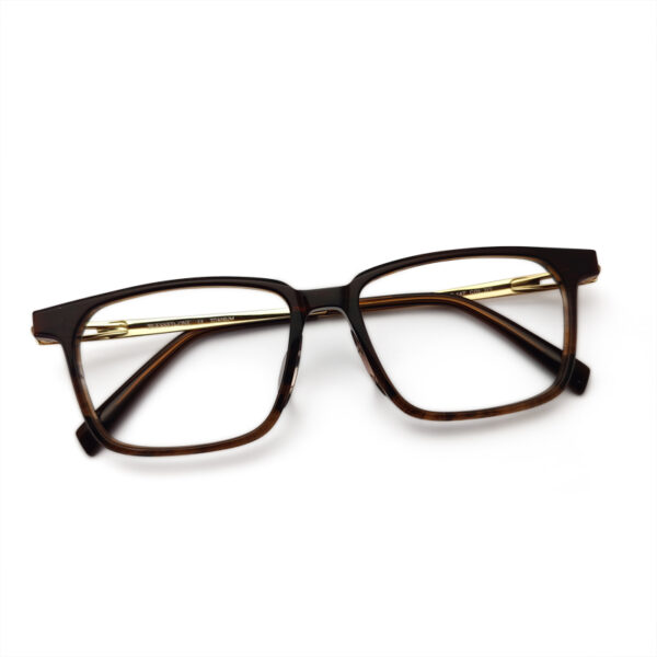 New Unique Design Eyeglasses