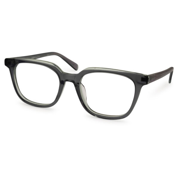 New Arrived Unique Eyeglasses