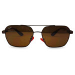 New Tiger Print Sunglasses