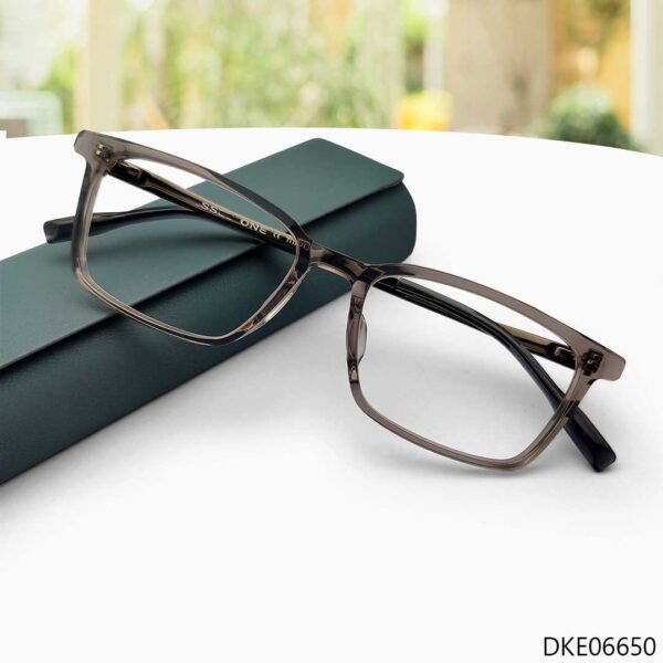Transparent Color Titanium Eyewear Frame