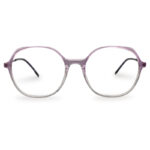 Mixed Transparent Color Eyeglass