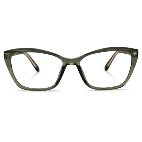 New Arrived Cat Eye Eyewear