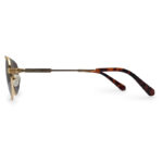 Double Bridge Golden Color Frame Sunglasses