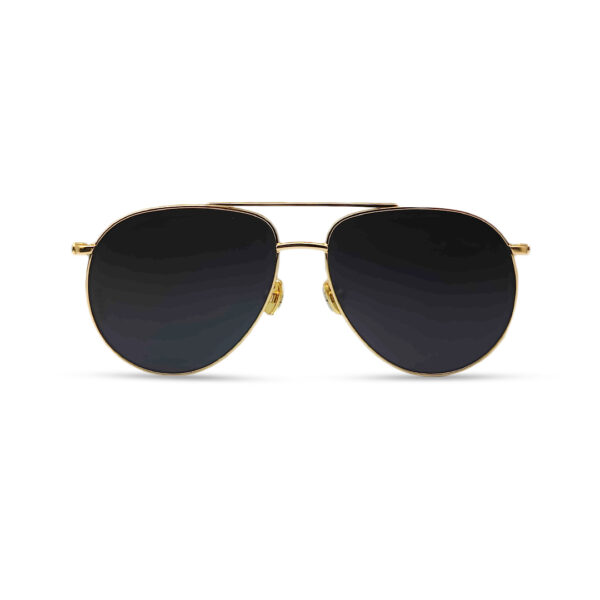 Gorgeous Double Bridge Sunglasses