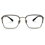 New Golden and Black Color Mixed Eyeglasses