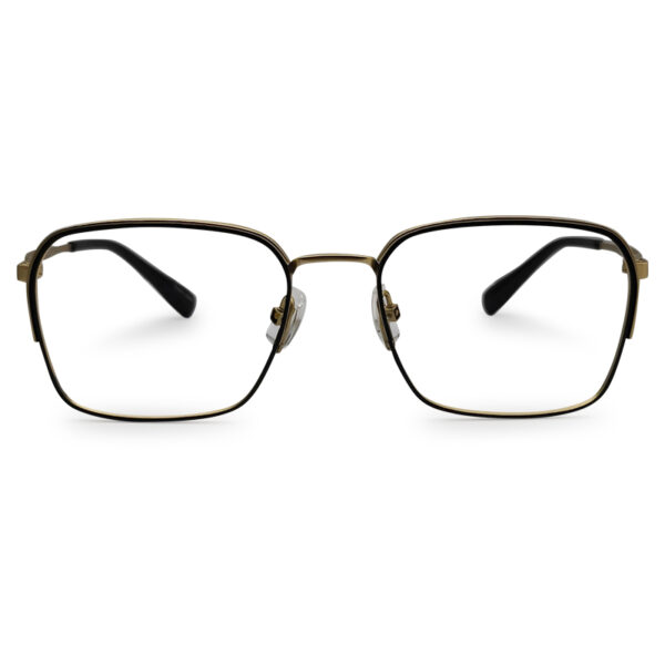 New Golden and Black Color Mixed Eyeglasses