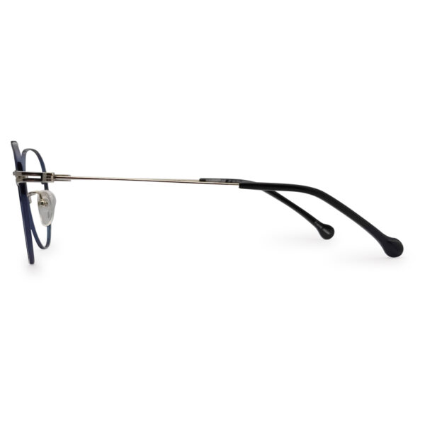 Blue Color Mixed Eyeglasses