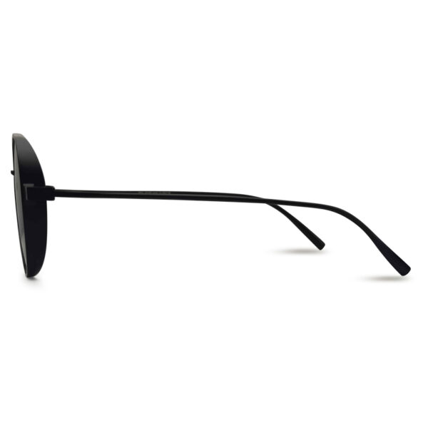 Most Demandable Double Bridge Sunglasses