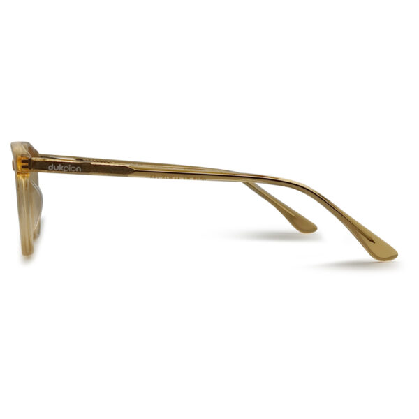 Brown Transparent Kid's Eyeglasses