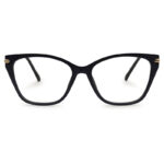 Cat Eye Shape New Eyeglasses