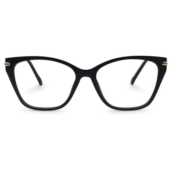 Cat Eye Shape New Eyeglasses