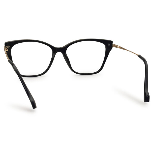 Cat Eye Shape New Eyeglasses