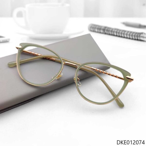 New Cat Eye Shape Stylish Women Glasses