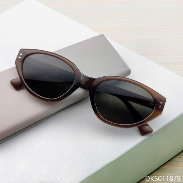 Brown Transparent Color Sunglasses