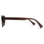 Brown Transparent Color Sunglasses