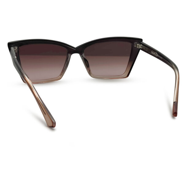 Mixed Transparent Unique Design Sunglasses