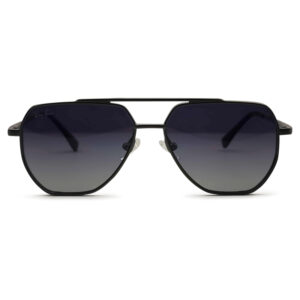 New Arrived Double Bridge sunglasses