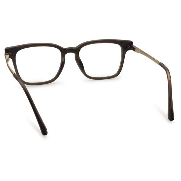 Brown Transparent Color Eyeglass